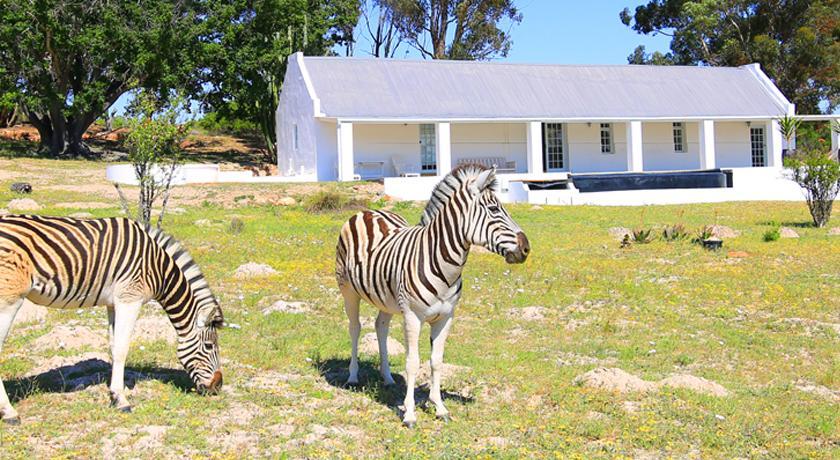 Arnion - Nature Retreat Clanwilliam Exterior photo